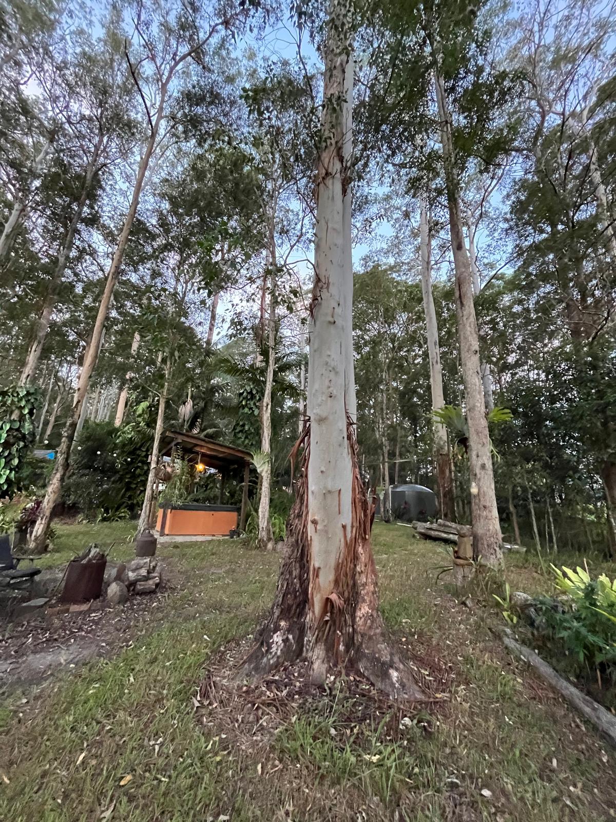 Hinterland Property 2