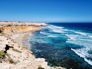 once were wild travel