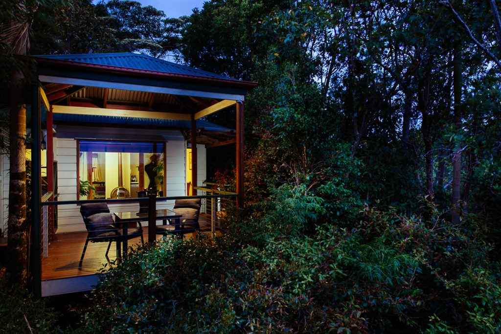 Once were wild travel