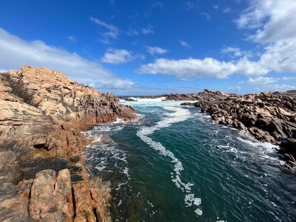 once were wild travel