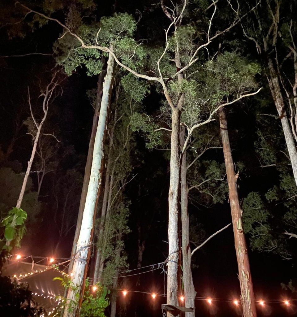 once were wild travel