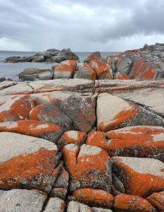 once were wild travel